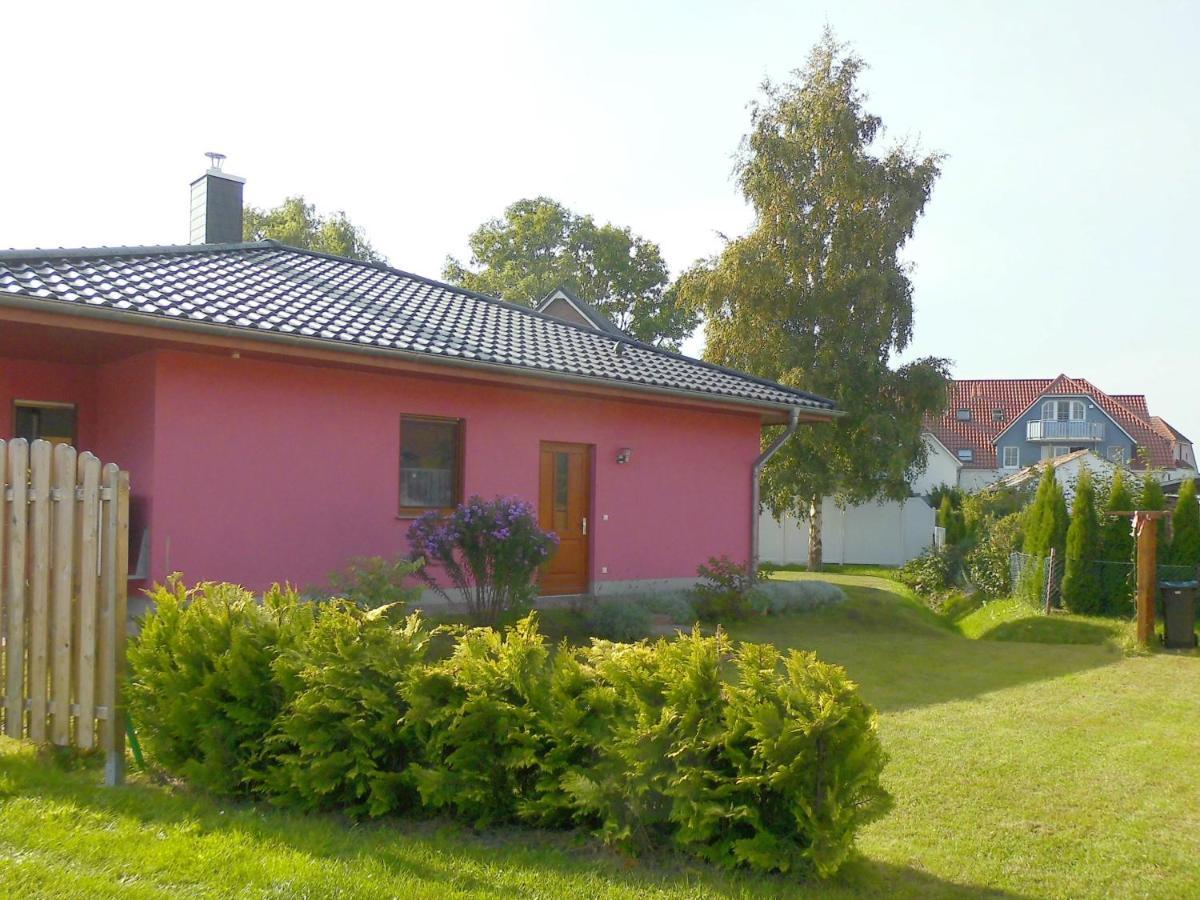 Villa Wuschels Hütt Zingst Exterior foto
